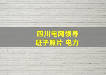 四川电网领导班子照片 电力